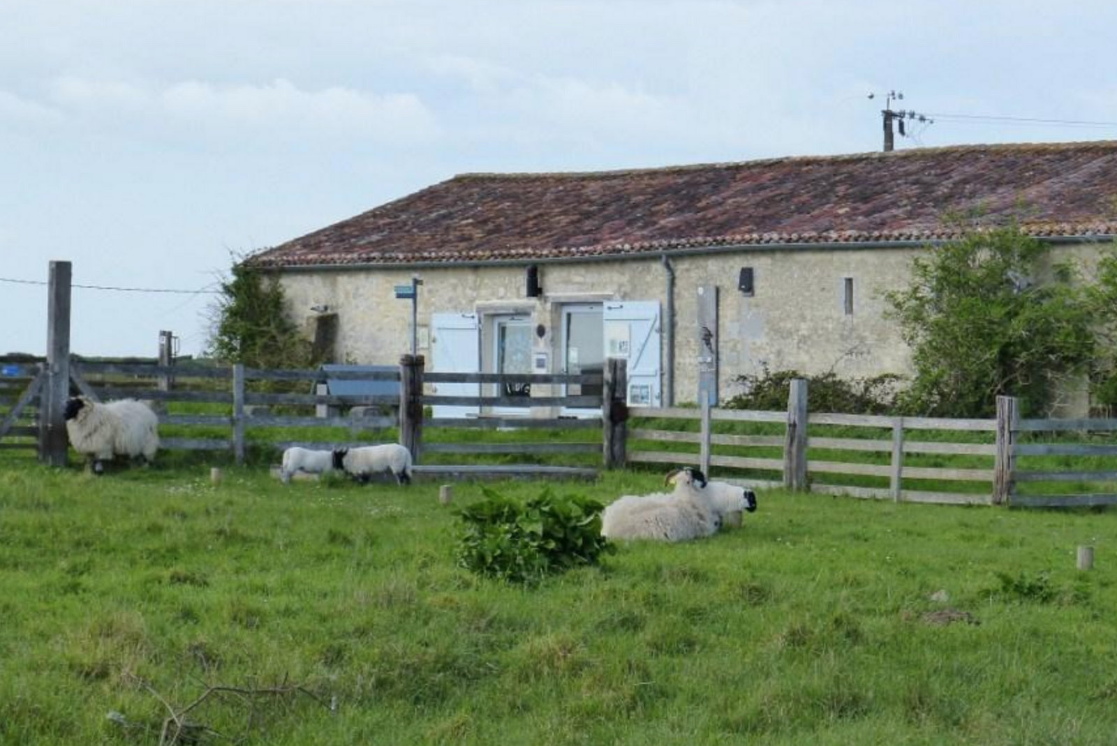 Ferme de plaisance